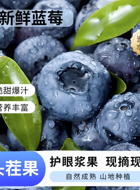 2026年头茬果鲜蓝莓脆甜爆汁