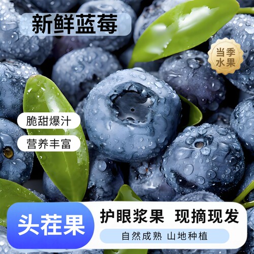 2026年头茬果鲜蓝莓脆甜爆汁