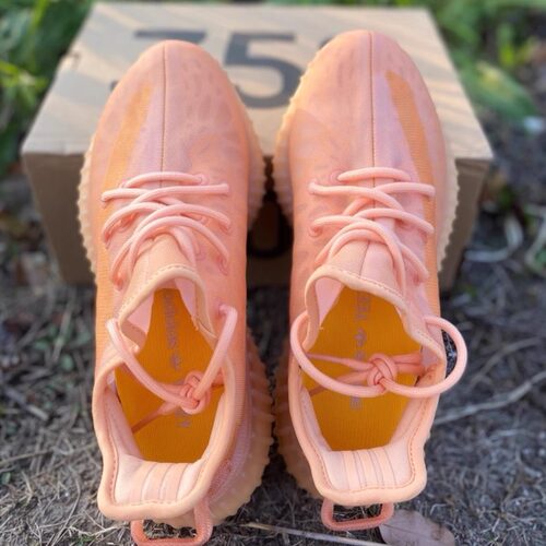 adidas originals Yeezy Boost 350 V2 