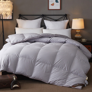 五星级酒店羽绒被95白鹅绒冬被春秋被芯冬季加厚保暖双人被子