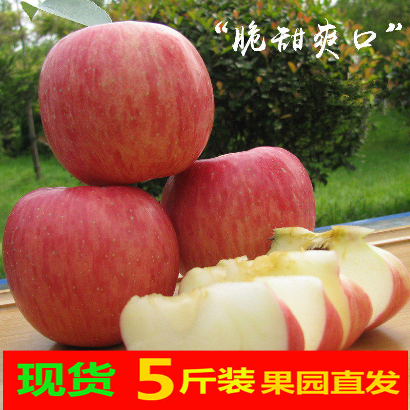 5斤装红富士苹果水果吃的新鲜苹苹果