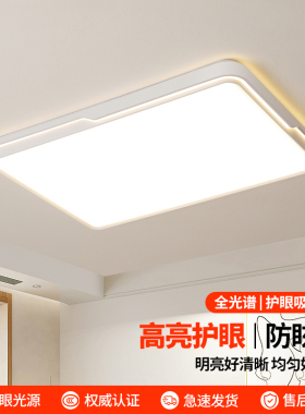 led吸顶灯新款客厅灯简约现代大气房间灯卧室灯餐厅灯家用灯具