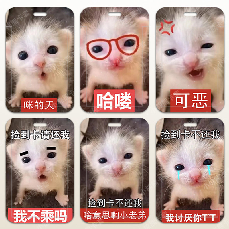 低脂小猫表情包学生滑盖卡套