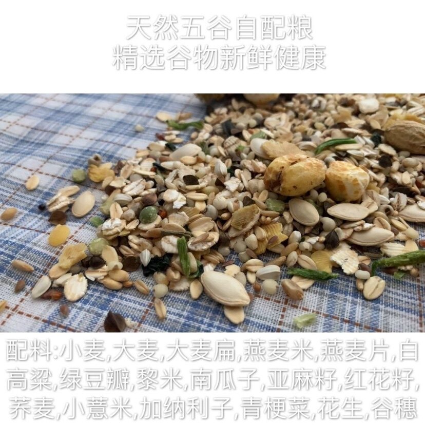 仓鼠粮食 自制水果蔬菜粮300g