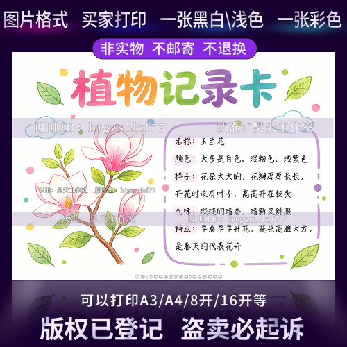 G686植物记录卡玉兰花手抄报植物名片自然笔记观察名片线稿小报