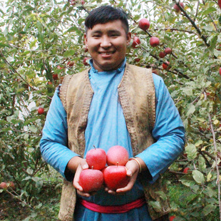 阿坝正宗理县佳山糖心苹果脆甜红富士高原水果现摘当季5斤包邮