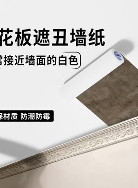 自粘防水防潮墙面遮挡布基胶带