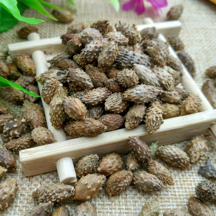 李运杰中草药材苍耳子 去刺头干货苍耳 胡苍子 50克