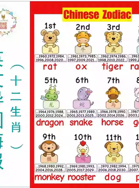 中国传统12生肖英文表达海报导图闪卡教具chinese zodiac农历年