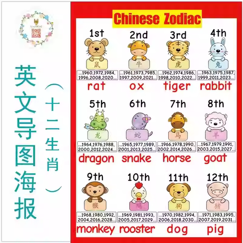 生肖传统英文表达海报闪卡