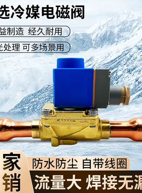 CVR20中央空调冷媒电磁阀冷库制冷机组膜片式氟利昂电磁电阀焊口