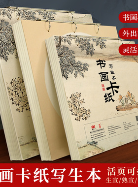 国画卡纸写生本生宣卡纸镜片纸全白全麻镜面作品纸半生熟书法专用纸山水工笔画熟宣速写本美术画画专用册页