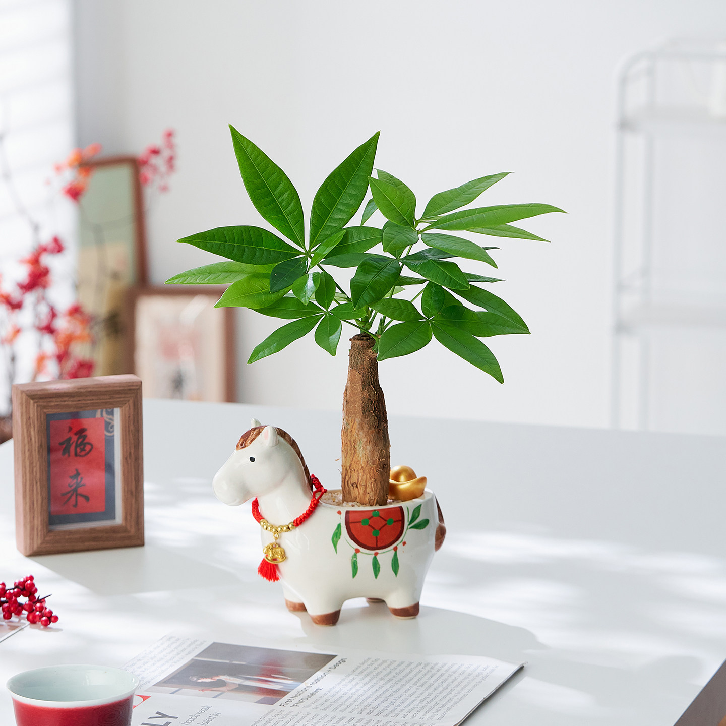 趣味小马盆栽室内桌面装饰植物创意摆件办公室好养易护花卉绿植,鲜花速递/花卉仿真/绿植园艺,绿植,淘宝优惠券,粉丝福利购,淘宝优惠卷