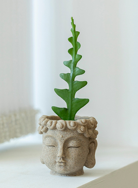 小盼菩提仙人掌禅意盆栽室内创意造型国风佛系绿植书房中式小摆件