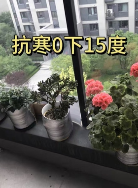 自粘带背胶保温贴纸隔热膜