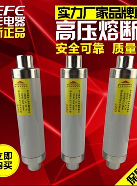 高分断能力高压限流熔断器XRNT1 SFLAJ 10KV 12KV 保险 熔芯 底座
