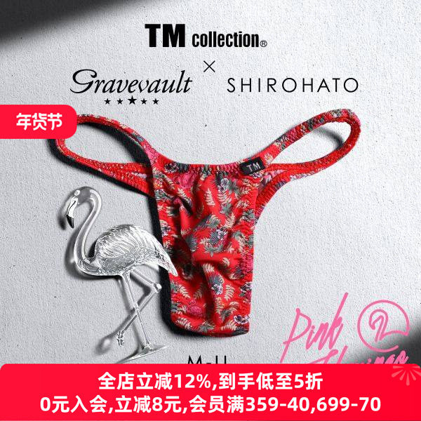 Gravevault男士内裤日本制性感细带紧身本命年红色低腰三角裤240