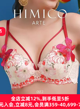 HIMICO内衣女聚拢侧收防外扩重工立体刺绣蕾丝性感火辣文胸罩A002