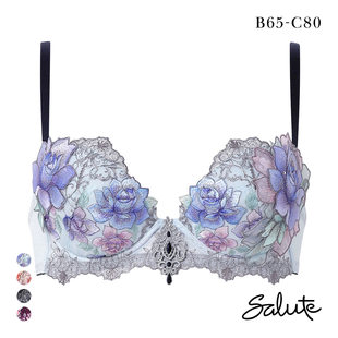 华歌尔Salute内衣女聚拢小胸显大收副乳重工刺绣蕾丝性感文胸23G