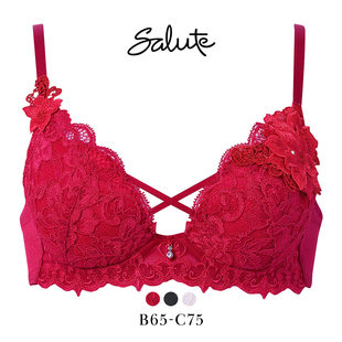 华歌尔Salute内衣女上托聚拢显大重工刺绣刺绣新年红色文胸罩27G