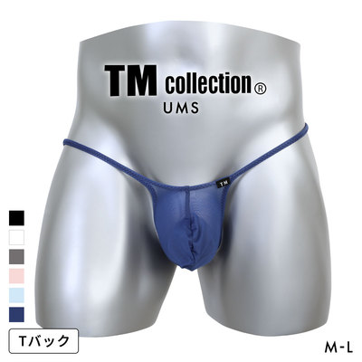 TM日本制超薄透气性感男士丁字裤