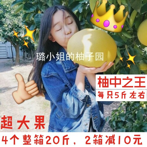 售完10月底再见正宗玉环文旦柚子超大孕妇水果蜜柚浙江台州楚门