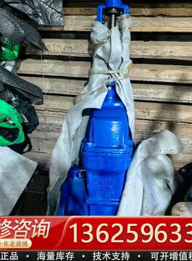 DN300 PN16闸阀，蓝色喷漆，型号QT450。阀门成色[议价]