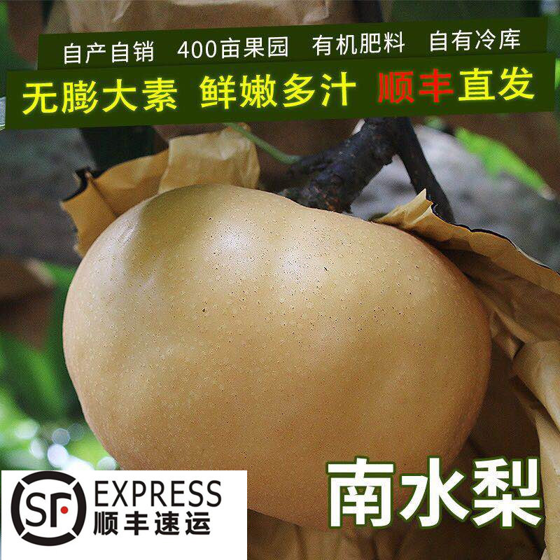 八年老店脆甜南水梨山东特产可带皮吃新鲜水果原产地包邮