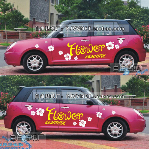 力帆320 330汽车车贴 嘉年华汽车贴纸奔奔拉花汽车改装 花朵贴画J