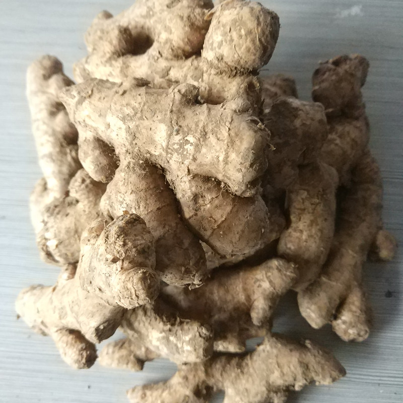 老姜铜陵生姜炒菜老姜新鲜大黄姜铜陵特产小姜干姜块