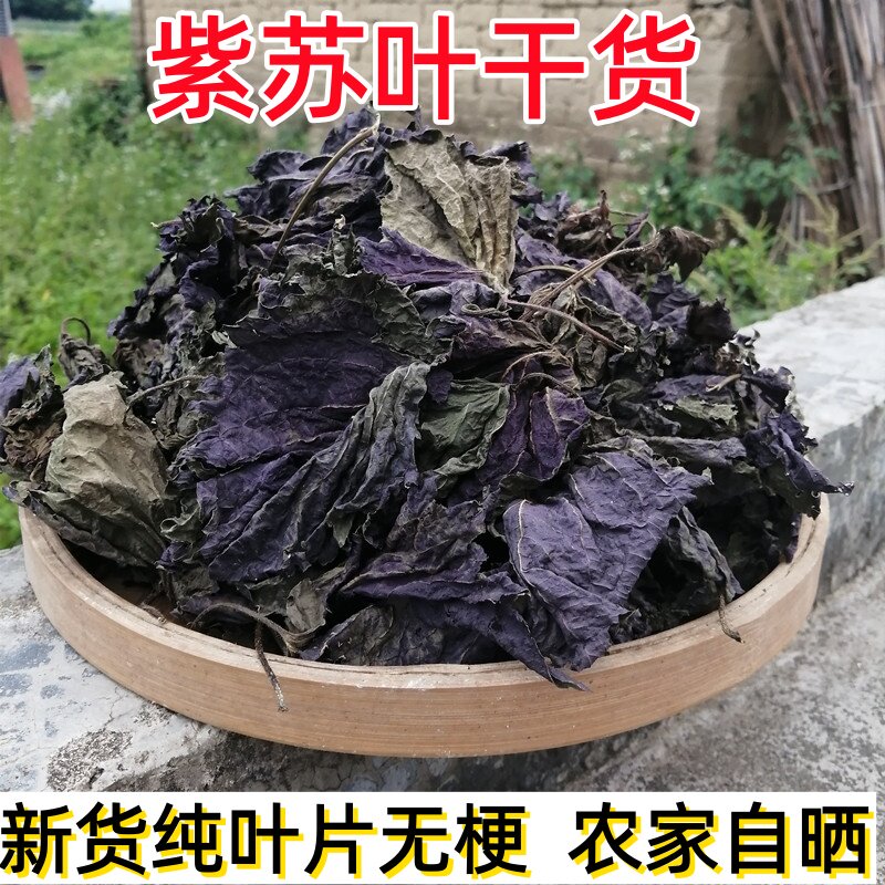 紫苏叶干货解暑去腥天然香料三伏天常备可泡茶煲汤炒菜代用茶