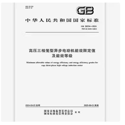 GB 30254-2024 高压三相笼型异步电动机能效限定值及能效等级
