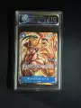 10-Point Grading Card / Ace