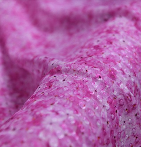 仙子秘语 超美配色品牌定织真丝剪花乔其纱13姆100丝135宽 设计师