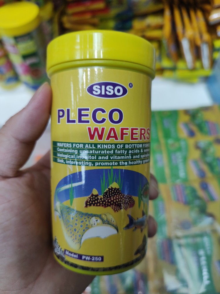 siso异形鱼饲料海腾锭专用粮食