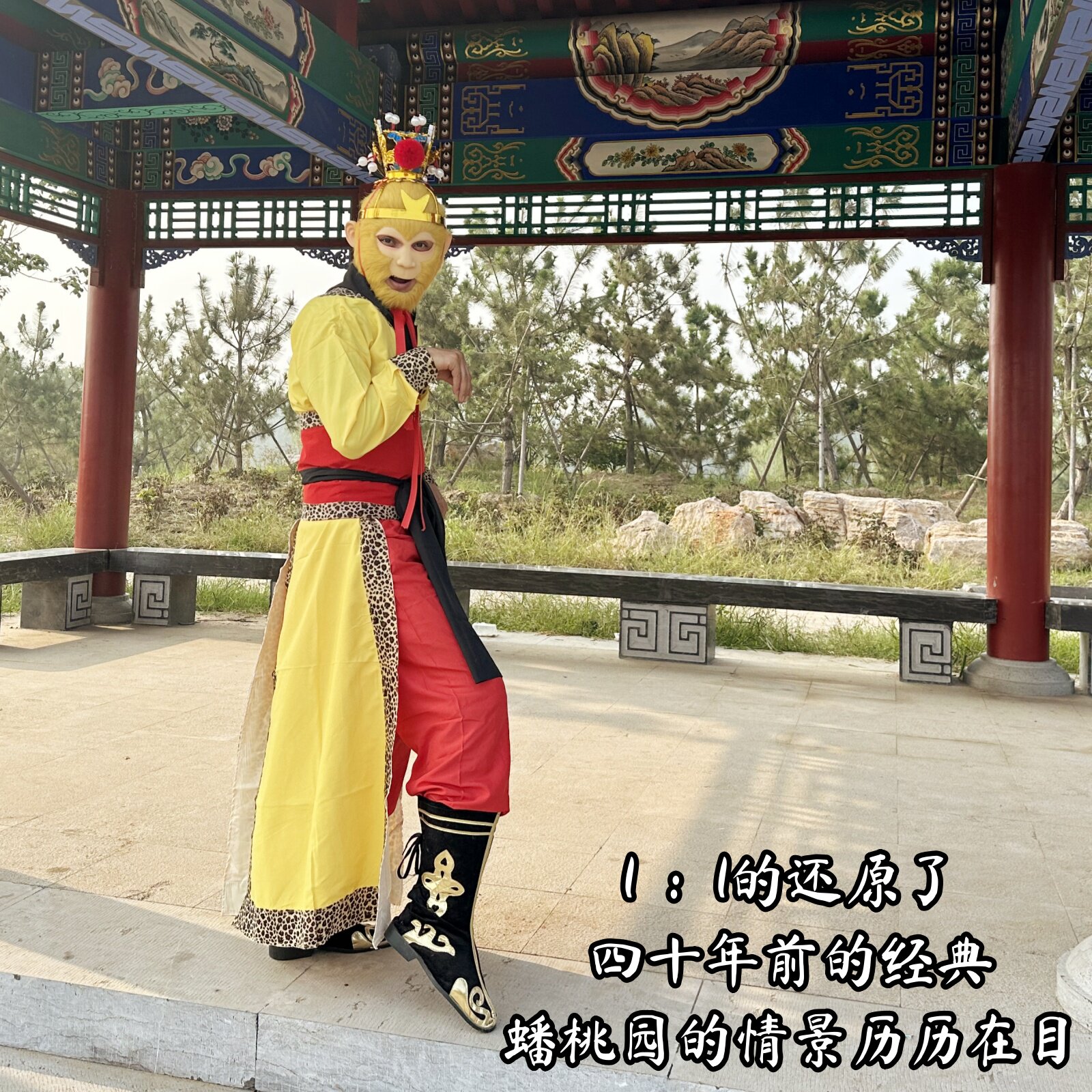 成人孙悟空蟠桃园装扮服孙行者取经舞台表演道具万圣节孙行者扮演