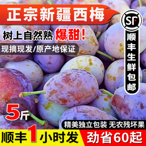 正宗新疆西梅喀什新鲜甜蓝蜜大西梅非法兰西孕妇水果李子整箱包邮