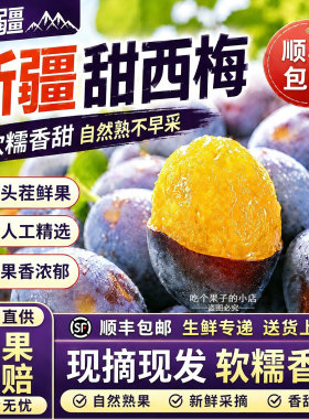 【顺丰京东】新疆甜西梅果园直采