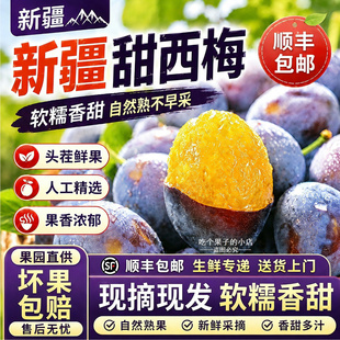 新疆新鲜甜西梅蓝蜜大西梅孕妇水果李子西梅鲜果礼盒整箱顺丰京东