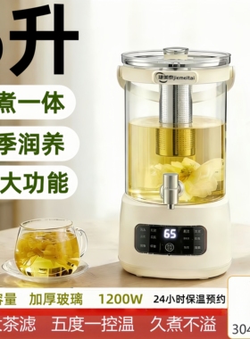 2026新款6L养生壶大容量花茶烧水壶加厚玻璃炖煮一体中药壶煮茶桶
