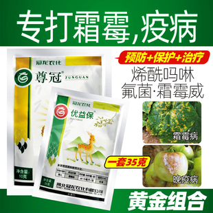 专打抗性黄瓜霜霉病疫病氟吡菌胺霜霉威烯酰吗啉菠菜土豆辣椒疫病