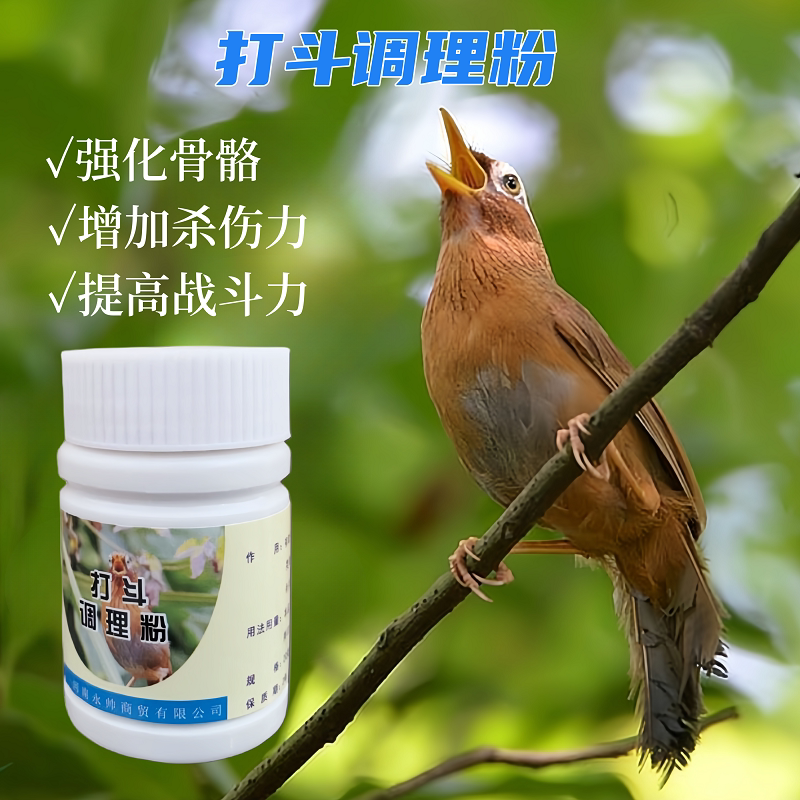 画眉斗鸟打斗提兴稳笼增耐力药