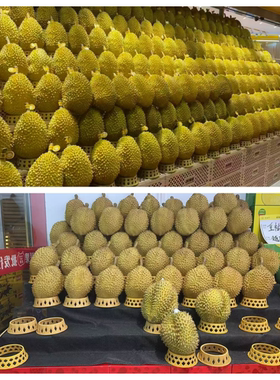 仿真猫山王新款榴莲模型水果道具