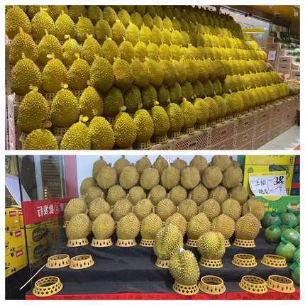 塑胶仿真猫山王假新款巴掌榴莲模型假肉水果蔬菜橱窗装饰道具包邮