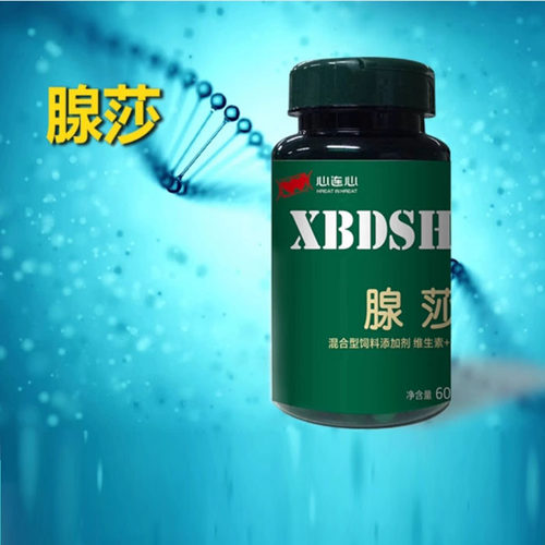 心连心鸽子药【腺莎】胶囊60粒比赛鸽训放吐食不消化信鸽肠道养护
