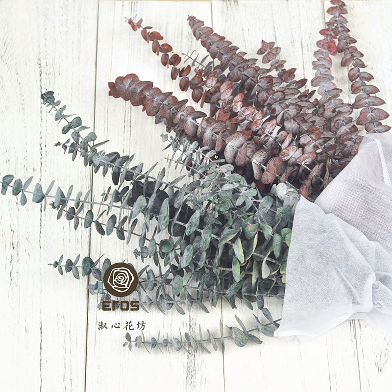 淑心花坊永生花铜钱桉尤加利叶diy花束干花保鲜花小红书礼盒