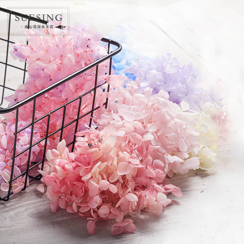 淑心花坊材料永生花diy材料包中葉木繡球保鮮花鑰匙扣禮盒花材1克在類目 鮮花速遞/花卉仿真/綠植園藝, 永生花/乾花, 永生花中 - 來自Buy2taobao.com提供專業的淘寶代購服務