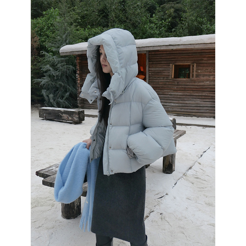 时简 温柔暴击 立领连帽软糯云感羽绒服冬季时尚百搭轻外套02332