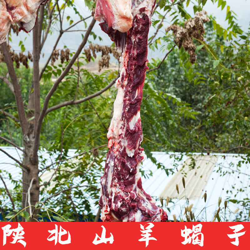顺丰包邮羊蝎子脊背生肉图片