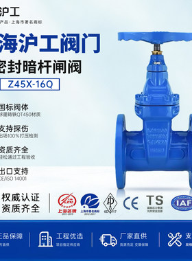 【上海沪工】法兰闸阀Z45X-16Q